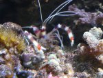 DSC01505.JPG