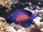 DSC01650.JPG