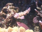 DSC01524.JPG