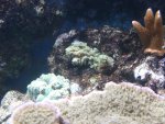 DSC01521.JPG