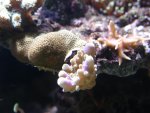 DSC01732.JPG