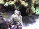 DSC01675.JPG