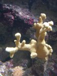 DSC01565.JPG