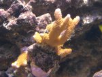 DSC01638.JPG