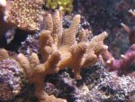 DSC01645.JPG