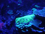 DSC01689.JPG