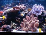 DSC01589.JPG