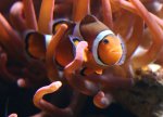 IMG_3494.JPG