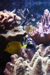 IMG_3554.JPG
