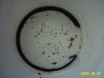 Foto 082.jpg