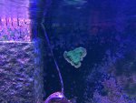 IMG_2368.jpg IMG_2368.jpg