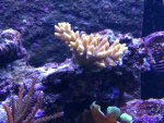 IMG_2372.jpg IMG_2372.jpg