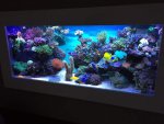 ImageUploadedByTapatalk1423326066.468009.jpg