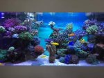 ImageUploadedByTapatalk1423398393.499600.jpg ImageUploadedByTapatalk1423398393.499600.jpg