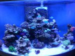 20150220_082853.jpg