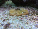 IMG_2458.jpg