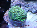 003 - kopie.jpg