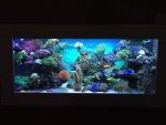ImageUploadedByTapatalk1424802899.080053.jpg ImageUploadedByTapatalk1424802899.080053.jpg