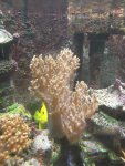DSCF4112.jpg DSCF4112.jpg