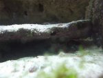DSCF4125.jpg DSCF4125.jpg