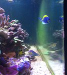 IMG_2602.jpg