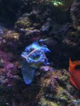 IMG_2640.jpg IMG_2640.jpg