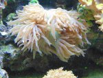 DSC00043.jpg
