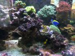IMG_2771.jpg