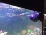 IMG_2780.jpg