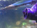 IMG_2789.jpg