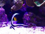 equetus_31.5.15.jpg