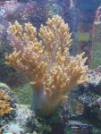 DSC01024.jpg