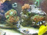DSC01028.jpg