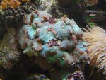 DSC01034.jpg