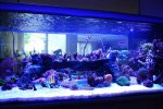DSC_8739.jpg