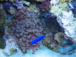 aquariumxy 006.jpg