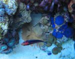 aquariumxy 009.jpg