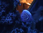 DSC01249.JPG