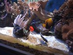 DSC01266.JPG