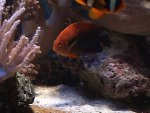 DSC01268.JPG