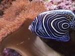 DSC01269.JPG