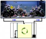 DyMiCo aquarium setup.jpg
