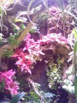 IMG_20150613_171637.jpg