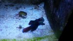 20150804_183549.jpg