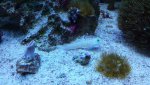20150807_141906.jpg 20150807_141906.jpg