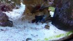 20150804_171818.jpg 20150804_171818.jpg