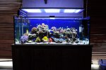DSC_8962.jpg