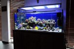 DSC_8968.jpg