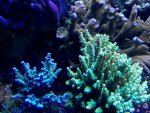 IMG_0123.jpg IMG_0123.jpg