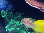 IMG_0130.jpg IMG_0130.jpg